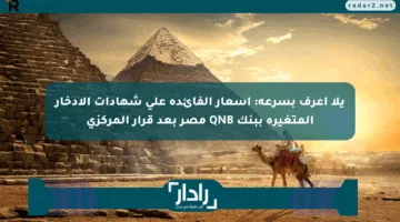 يلا اعرف بسرعة: أسعار الفائدة على شهادات الادخار المتغيرة ببنك QNB مصر بعد قرار المركزي